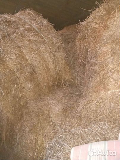 Продам сено в рулонах