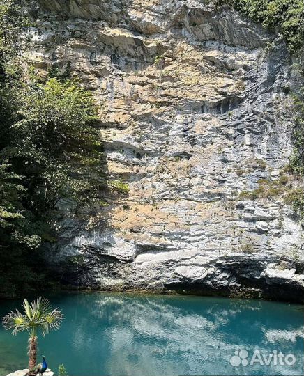 Экскурсии в абхазию