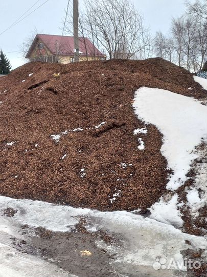 Мульча кедровой шелухи