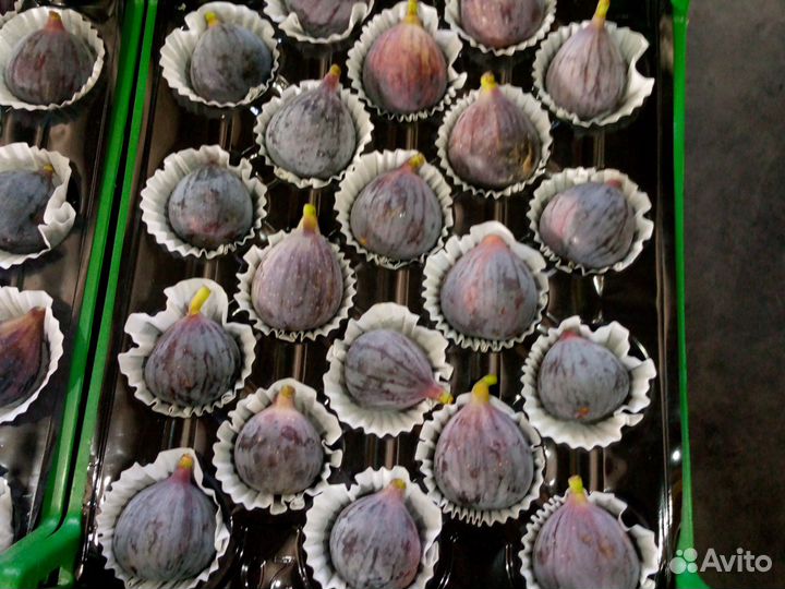 Виноград Изабелла цена кг 70руб