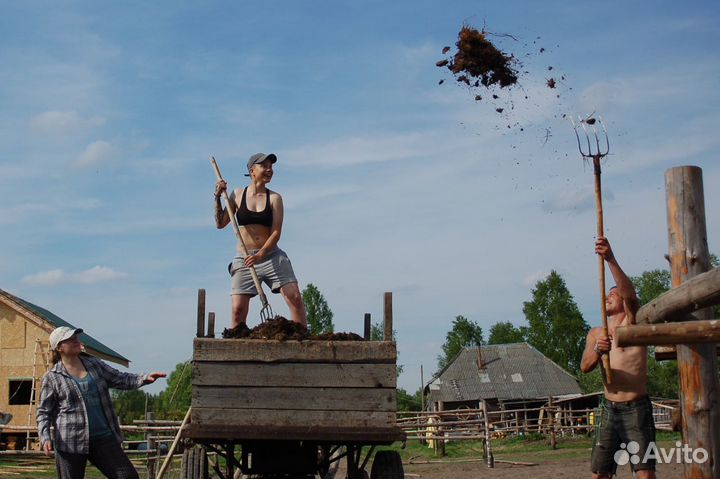 Навоз лошадиный в мешках