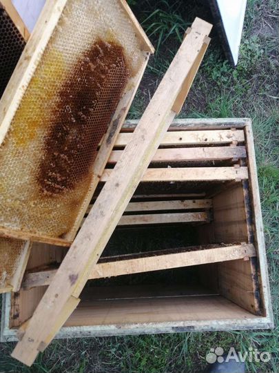 Рамки с сушью, сушь