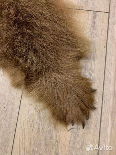 Шкура медведя имитация