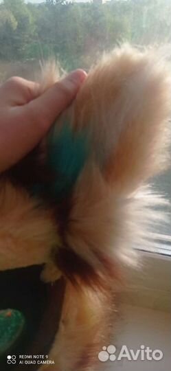 Фурсьют обмен/продажа