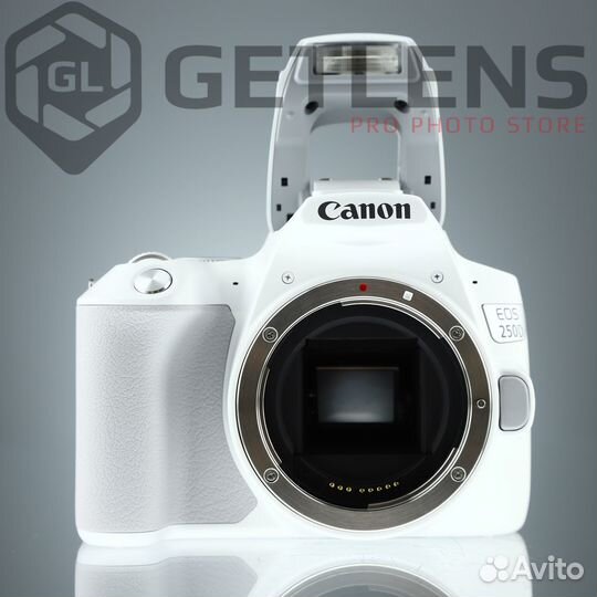 Canon EOS 250D Kit EF-S 18-55mm f/4-5.6 IS STM