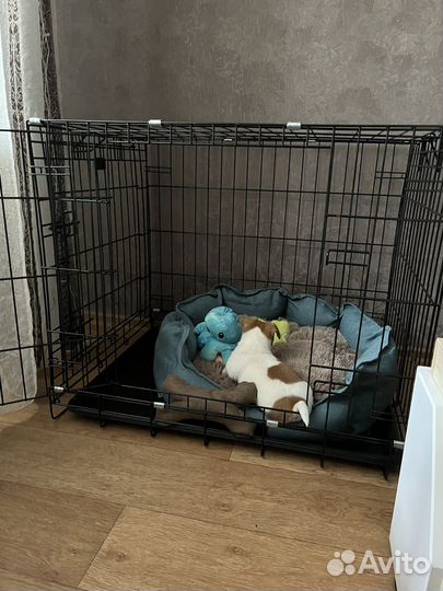 Клетка для животных