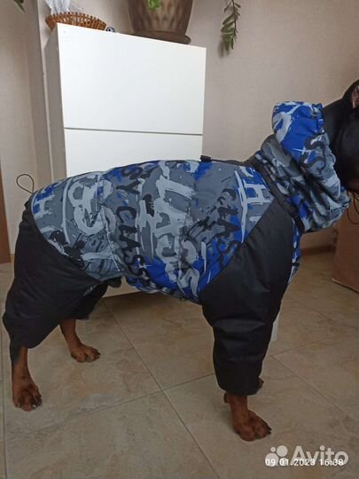 Комбинезон для собаки