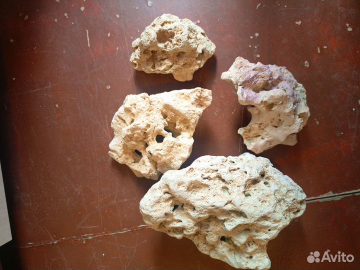 Растения в аквариум, камни для декора