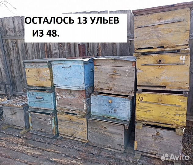 Ульи дадан 12рамок