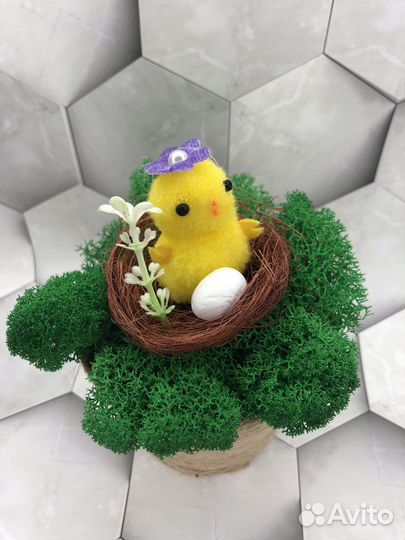 Кашпо из стабилизированного мха