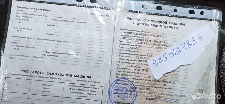 Трайк мотоцикл : ICE bear 300CC zodiac