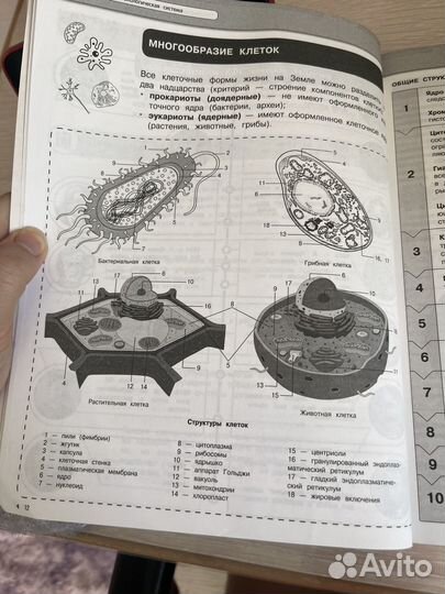 Биология егэ,огэ школьный курс