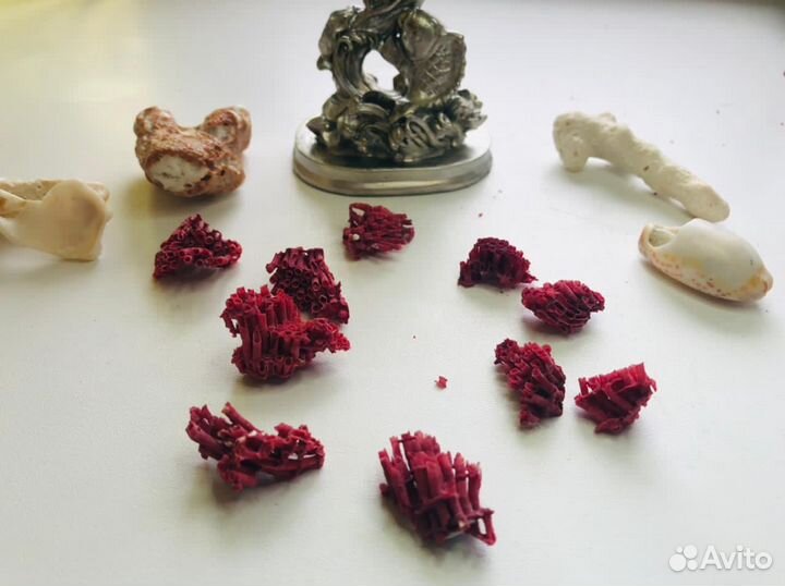 Красный коралл натуральный