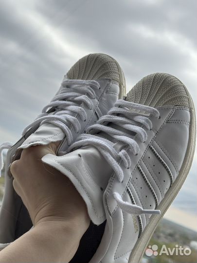 Adidas superstar