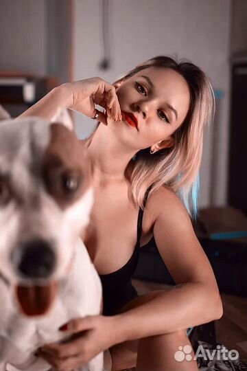 Дрессировка собак, Зоопсихолог, Кинолог - Онлайн