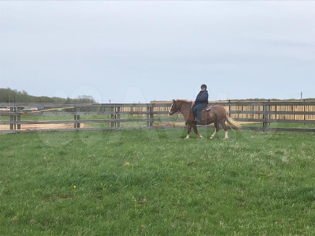 Участок 2 га (СНТ, ДНП)