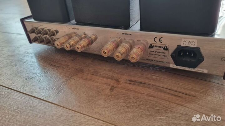 Ламповый усилитель Triode VP-300BD