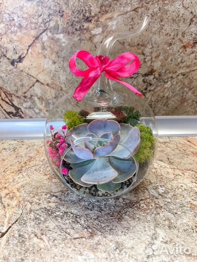 Флорариум ваза цветы букет подарок суккуленты
