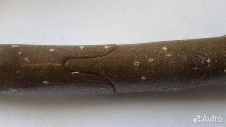 Секатор прививочный