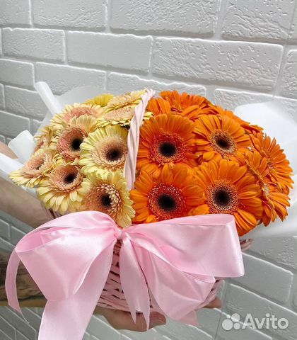 Розы голландские с доставкой 25 шт