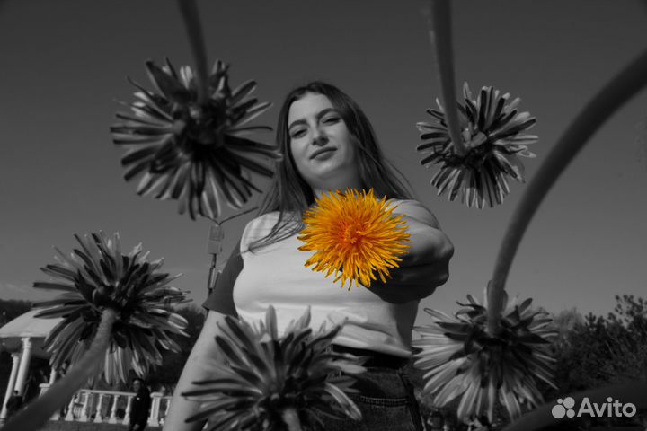 Фотограф тфп