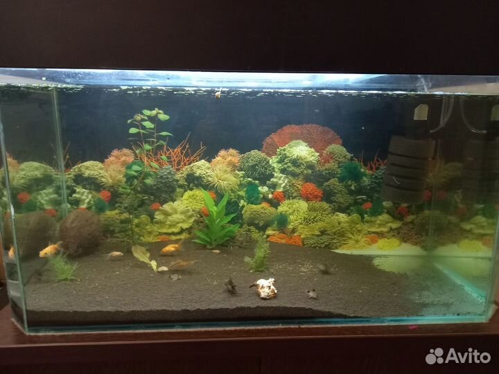 Аквариум