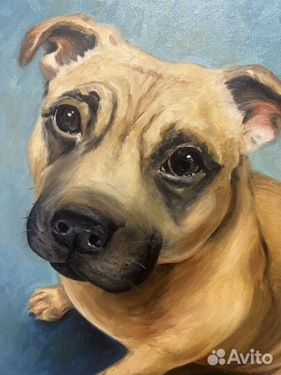 Картина маслом собака
