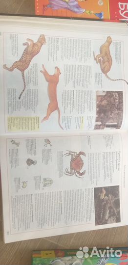 Большая энциклопедия школьника