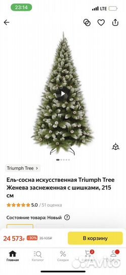 Ель с шишками Triumph Tree 215 см