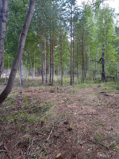 Участок 5,3 сот. (СНТ, ДНП)