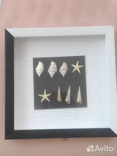 Бабочки в рамках