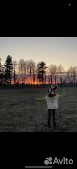 Фурсьют фулл красной панды/Фурри