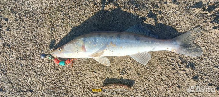 Приманка мандула