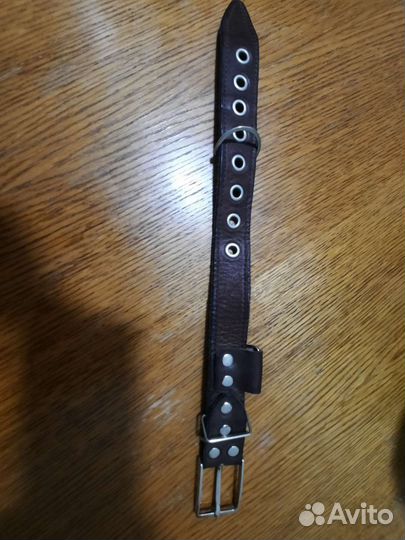 Ошейник для собак