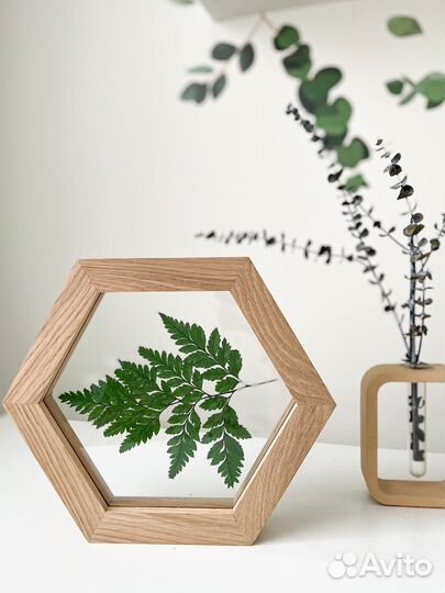 Декор для дома. Гербарий в стекле. Эвкалипт