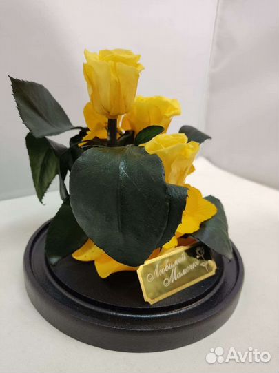 Цветы оптом