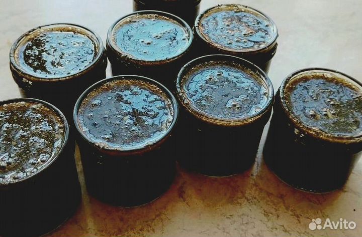 Мужской медовый стимулятор