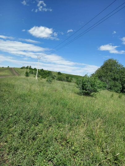 Участок 7 га (СНТ, ДНП)