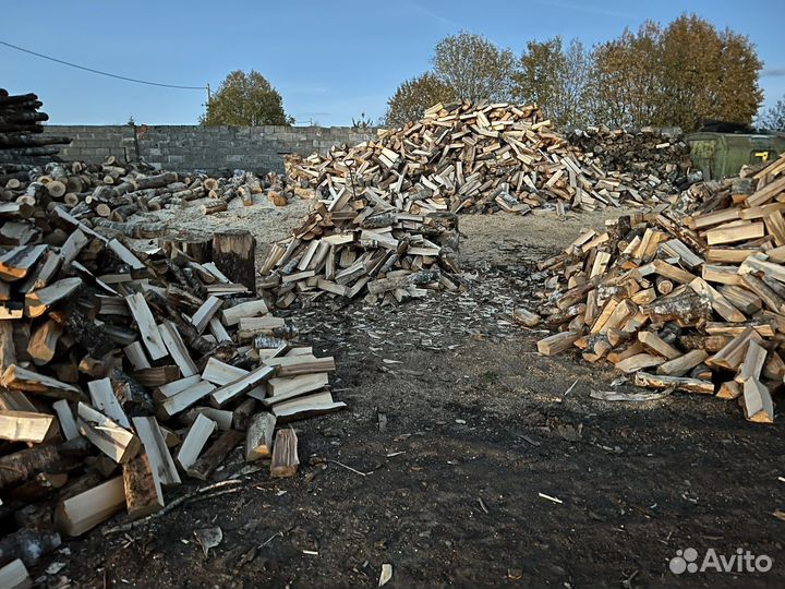 Дрова береза