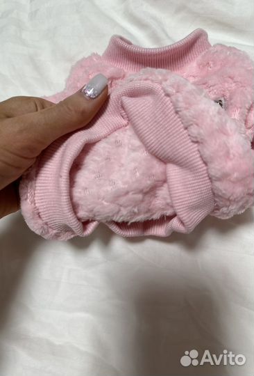 Одежда для собак мелких пород