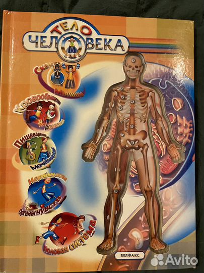 Тело человека энциклопедия для детей