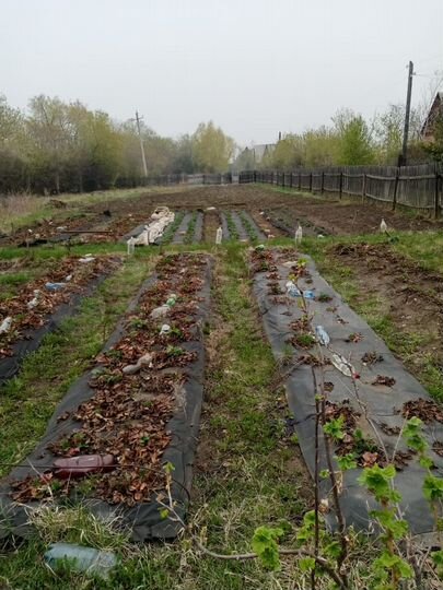 Участок 7,3 сот. (СНТ, ДНП)