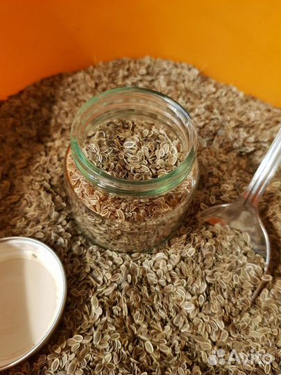 Семена укропа со своего огорода