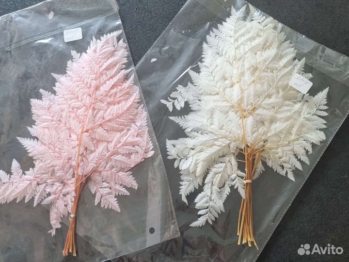 Стабилизированные цветы