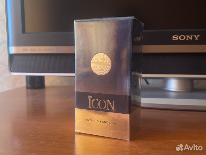 Antonio banderas the icon