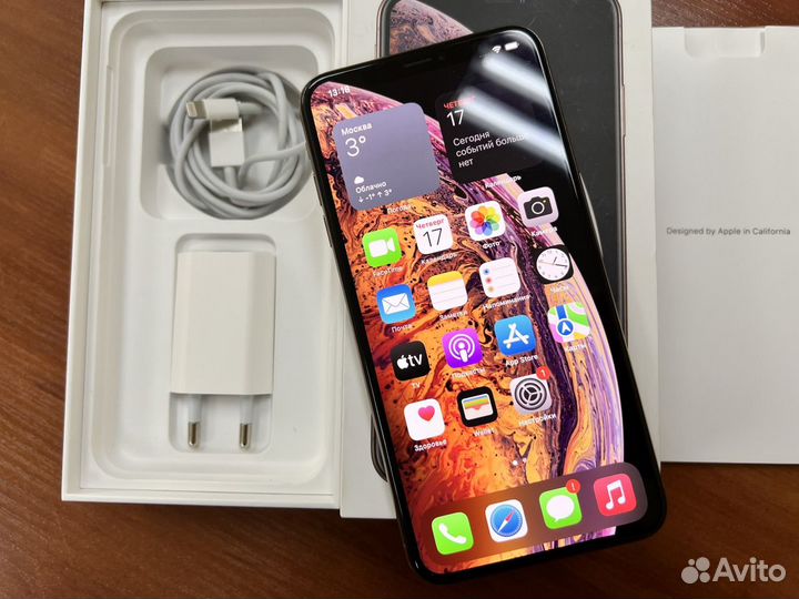 iPhone Xs Max, 256 ГБ
