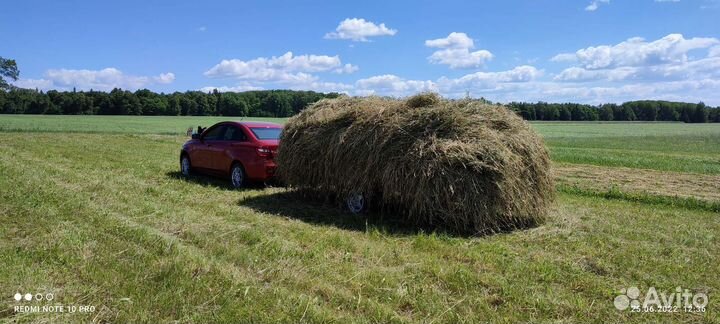 Для покоса травы