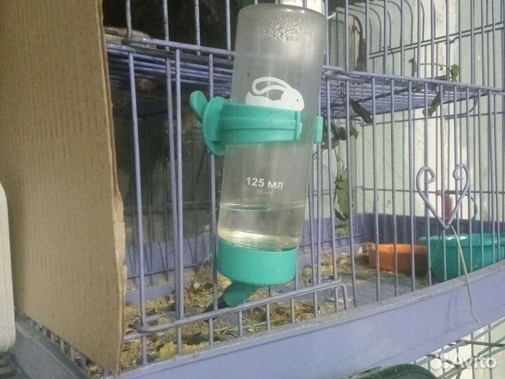 Колесо поилка для хомяка