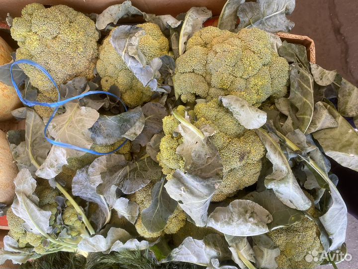 Брокколи цветная капуста