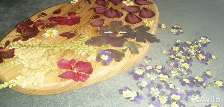 Сухоцветы для творчества